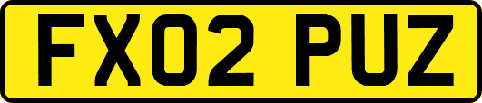 FX02PUZ