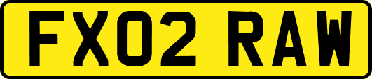 FX02RAW