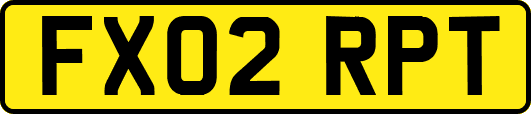 FX02RPT