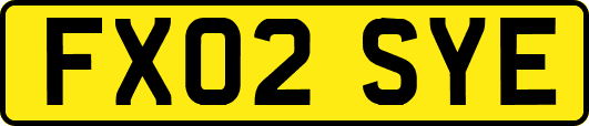 FX02SYE