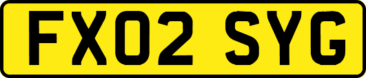 FX02SYG