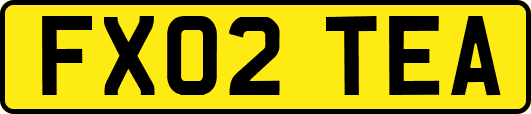 FX02TEA
