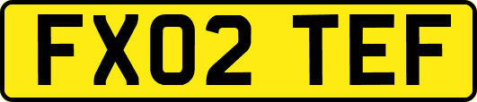 FX02TEF