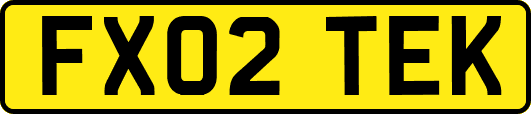 FX02TEK