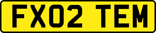 FX02TEM