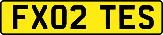 FX02TES