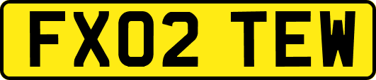 FX02TEW