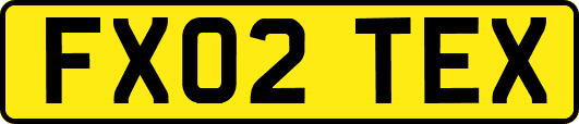 FX02TEX
