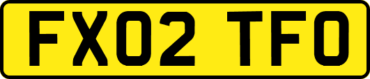 FX02TFO