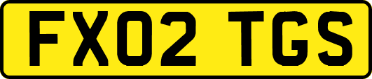 FX02TGS
