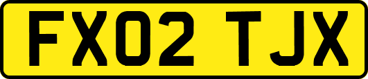 FX02TJX