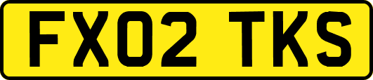 FX02TKS