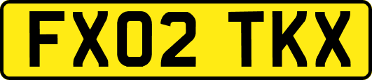FX02TKX