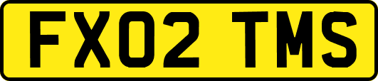 FX02TMS