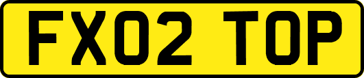FX02TOP