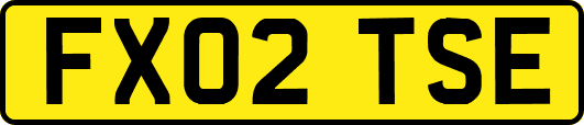 FX02TSE