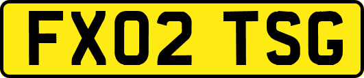 FX02TSG