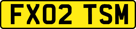 FX02TSM