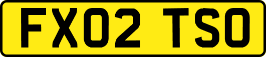FX02TSO