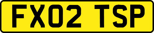 FX02TSP