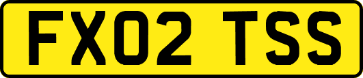 FX02TSS