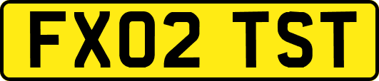 FX02TST