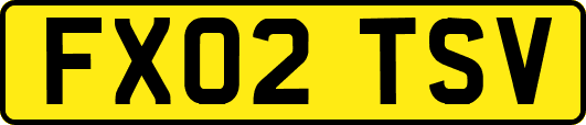 FX02TSV