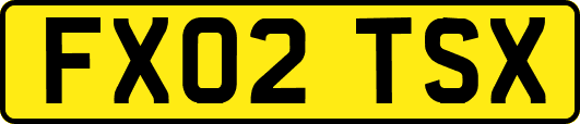 FX02TSX