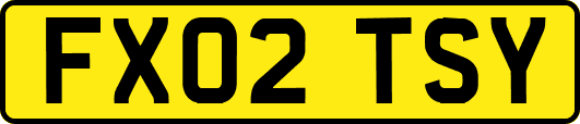 FX02TSY