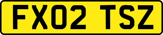 FX02TSZ