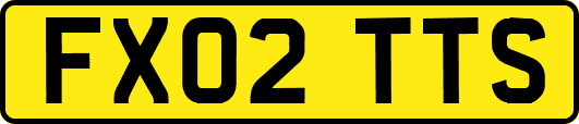 FX02TTS