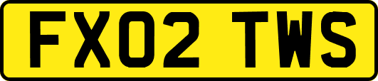 FX02TWS