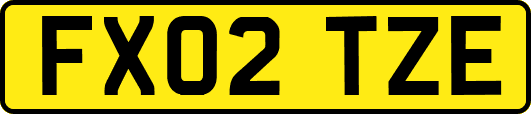 FX02TZE