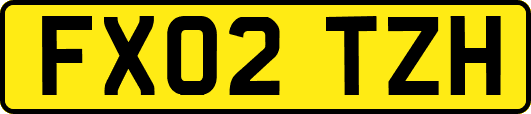FX02TZH