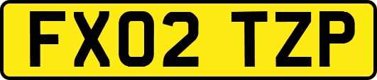 FX02TZP