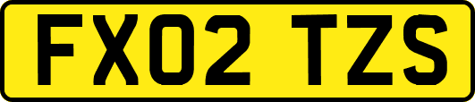 FX02TZS