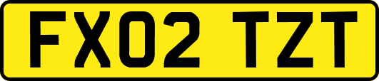 FX02TZT