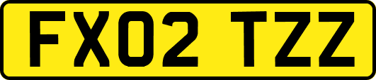 FX02TZZ