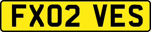 FX02VES