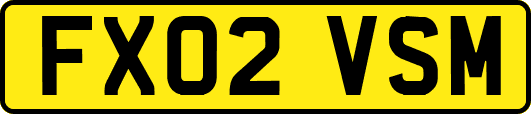 FX02VSM