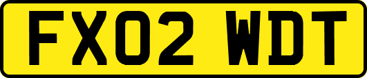 FX02WDT
