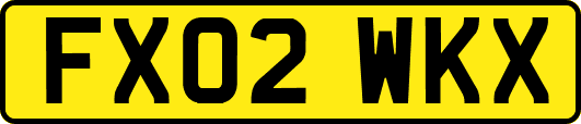 FX02WKX