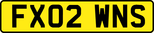 FX02WNS