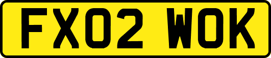 FX02WOK