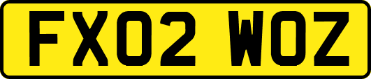 FX02WOZ