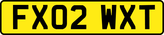 FX02WXT