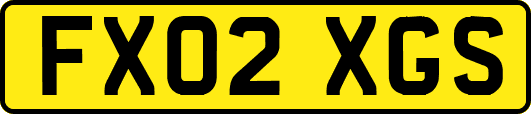 FX02XGS