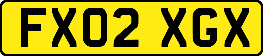 FX02XGX