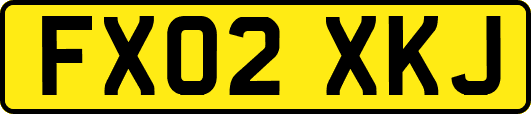 FX02XKJ
