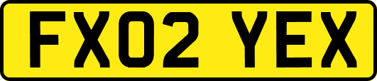 FX02YEX